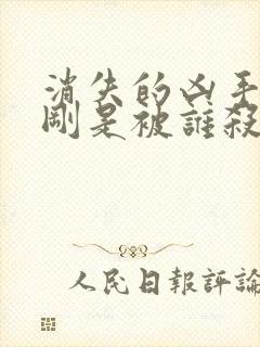 消失的凶手段志刚是被谁杀的封面