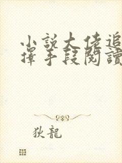 小说大佬追妻不择手段阅读封面