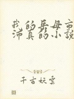 我的岳母市长苏沛真的小说