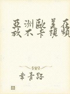 亚洲欧美在线播放不卡视频封面