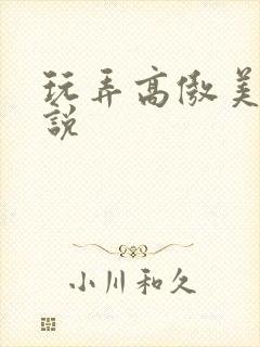 玩弄高傲美妇小说