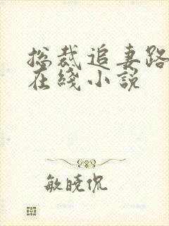 总裁追妻路漫漫在线小说