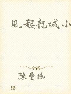 风起龙城小说
