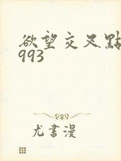 欲望交叉点》1993