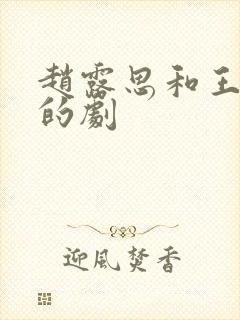 赵露思和王鹤棣的剧