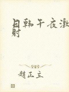 日韩午夜激情内射