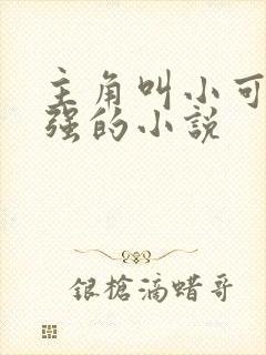 主角叫小可和志强的小说