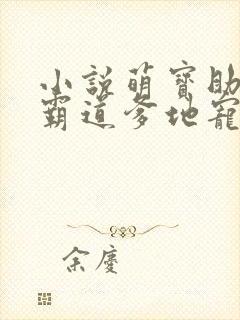 小说萌宝助攻:霸道爹地宠又撩封面