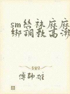 sm丝袜麻麻捆绑调教高潮小说封面