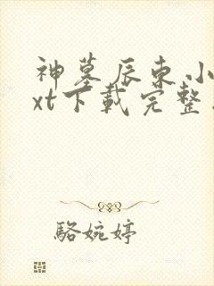 神墓辰东小说txt下载完整版