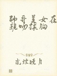 帅哥美女在一起亲吻揉胸