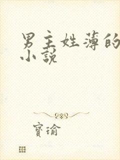 男主姓薄的总裁小说