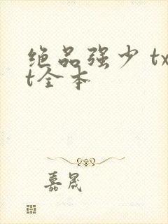 绝品强少 txt全本