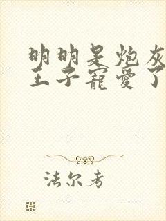 明明是炮灰却被王子宠爱了