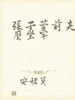 张子萱前夫为什么坐牢