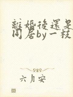 离婚后还是选择同居by一枝独秀