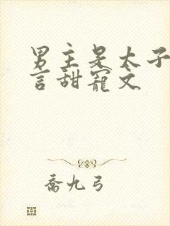 男主是太子的古言甜宠文