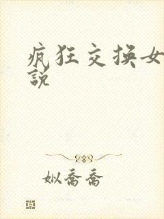 疯狂交换女友小说封面