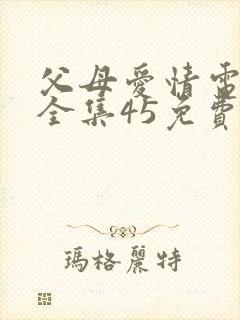 父母爱情电视剧全集45免费观看