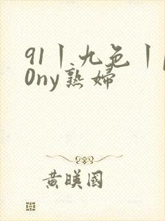 91丨九色丨p0ny熟妇