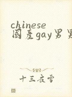 chinese国产gay男男网站封面