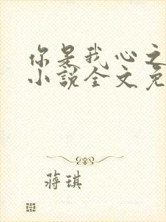 你是我心之所向小说全文免费阅读封面