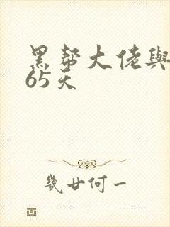 黑帮大佬与我365天封面