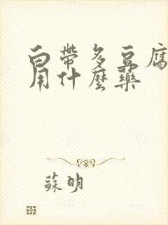 白带多豆腐渣状用什么药