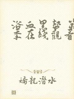 浴血黑帮 第4季在线观看全集免费播放封面