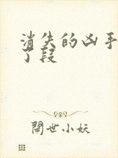 消失的凶手谁杀了段