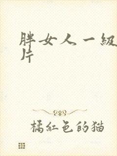 胖女人一级黄色片封面