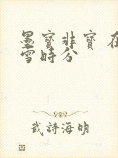 墨宝非宝 在暴雪时分