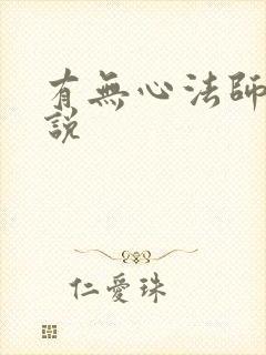 有无心法师的小说封面