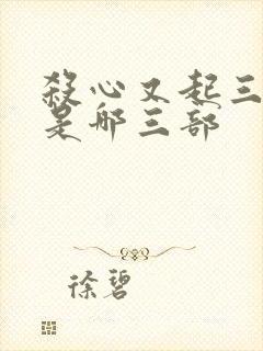 杀心又起三部曲是哪三部封面