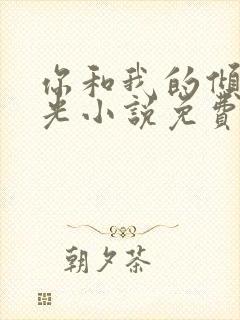 你和我的倾城时光小说免费