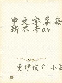 中文字幕每日更新不卡av