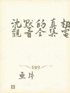 沈默的真相免费观看全集电视剧高清