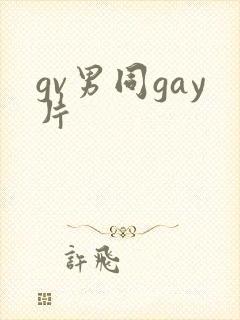 gv男同gay片