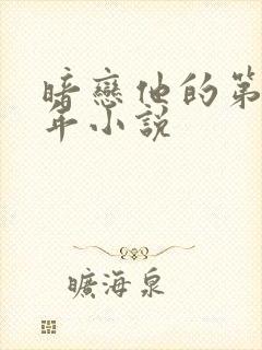 暗恋他的第十一年小说