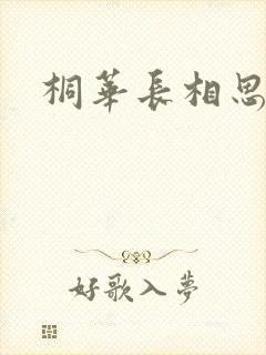 桐华长相思原著封面