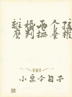 离婚两个孩子怎么判抚养权封面