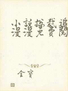 小说总裁追妻路漫漫免费阅读全文封面