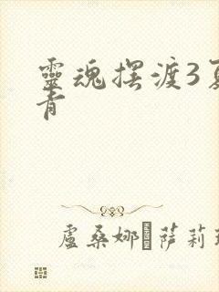 灵魂摆渡3夏冬青