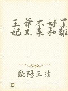 王爷不好了,王妃又来和离了完整版封面