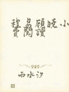 程易顾晓小说免费阅读