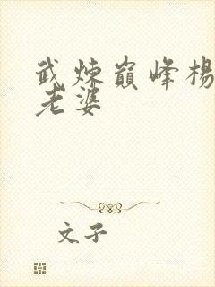 武炼巅峰杨开的老婆