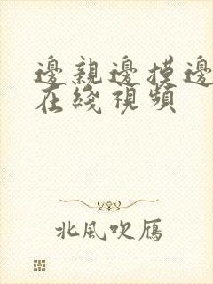 边亲边摸边操的在线视频