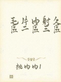 毛片内射久久一区二区三区封面