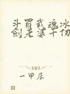 斗罗武魂冰火双剑老婆千仞雪