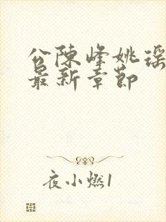 公陈峰姚瑶小说最新章节封面